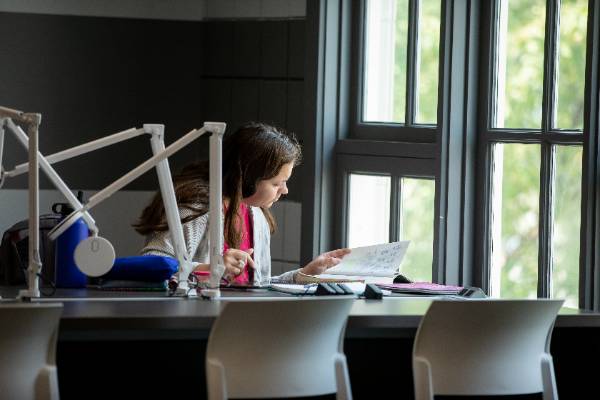 woman studying a book